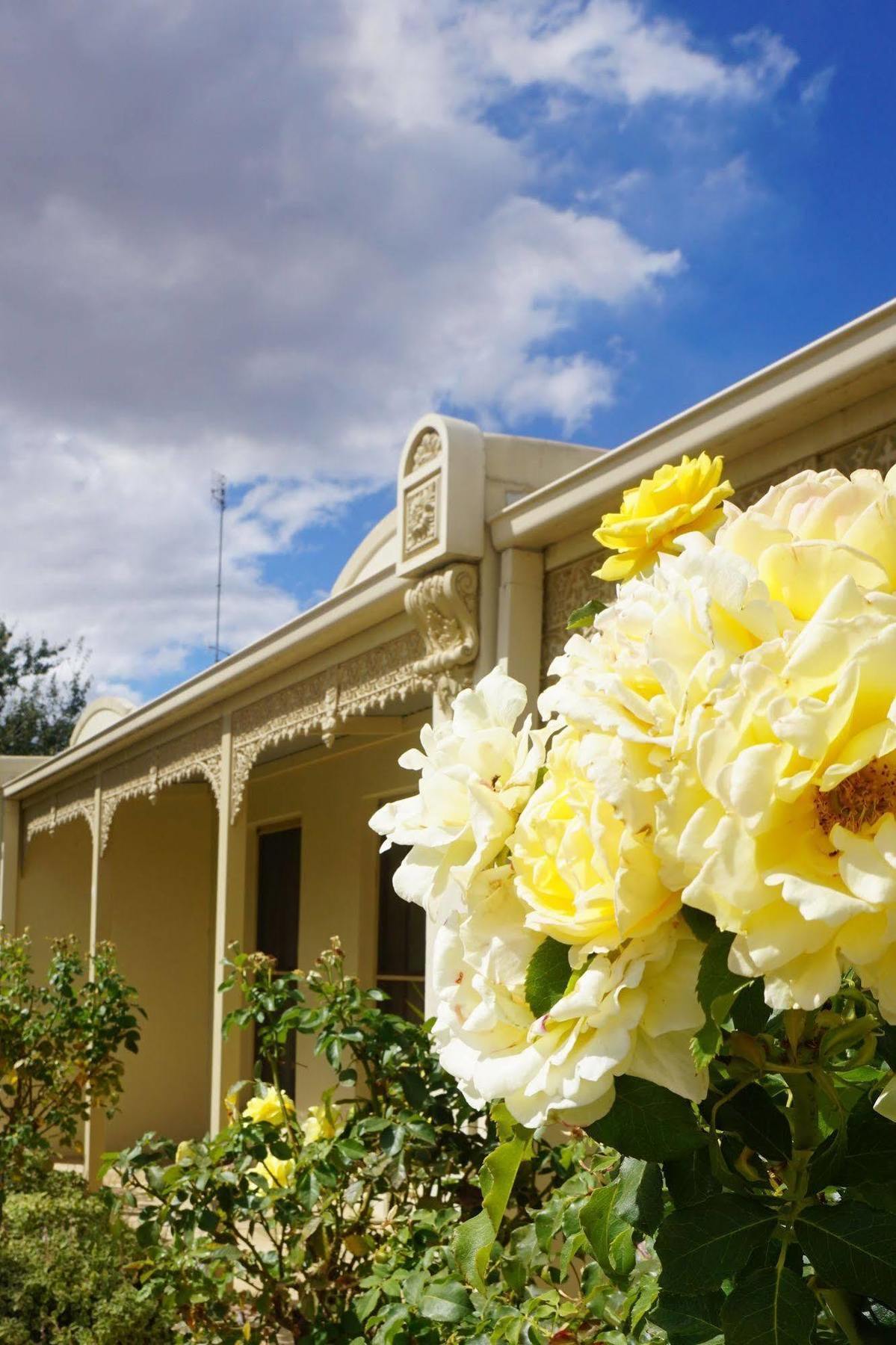 Acacia Terraces Aparthotel Echuca Exterior photo